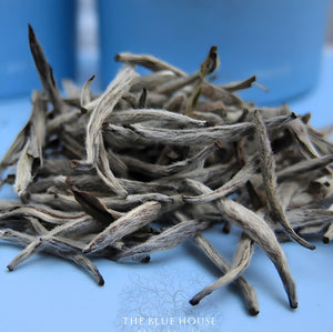 Silver Needle White Tea